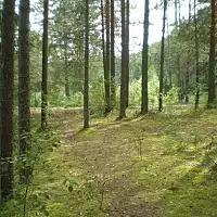 Карстовые озера Медведок 20...